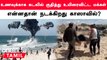 உணவில்லாமல் தவிக்கும் காஸா மக்கள் | Gaza - Israel War | Oneindia Tamil