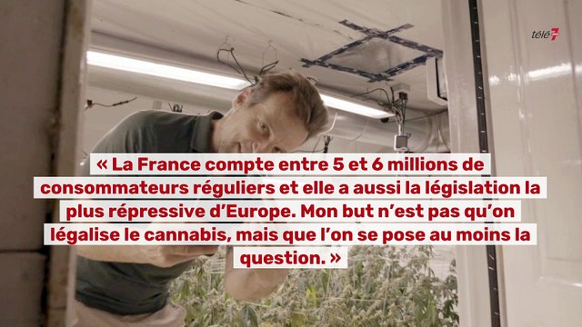 Cannabis : le coup de coeur Télé 7 Jours