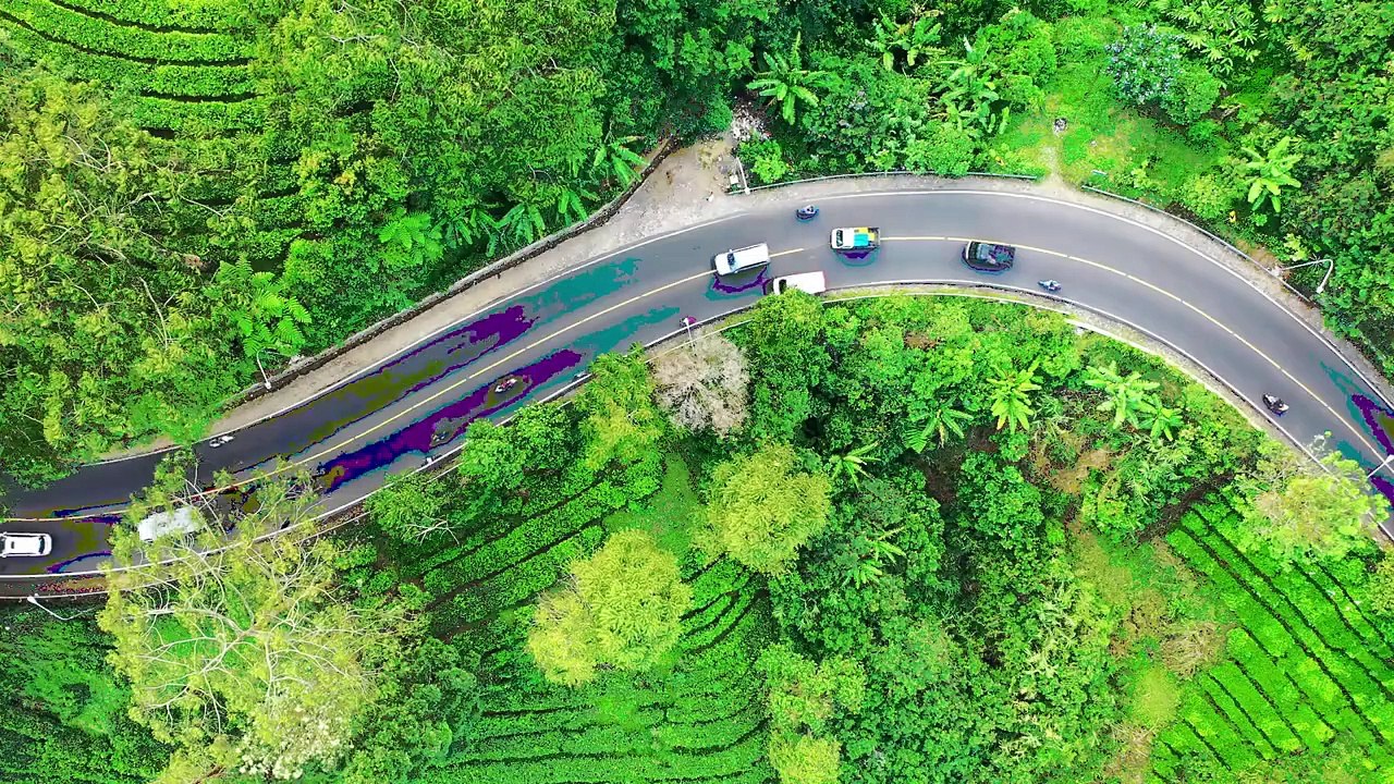 تعلم السياقة في المنزل مع التصحيح 12