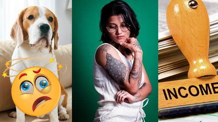 Most Weired Tax: Bachelors, Tattoo To Toilet Flush Fun Facts About Taxes In Hindi|Boldsky