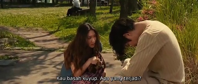  The light shines only there (2014)