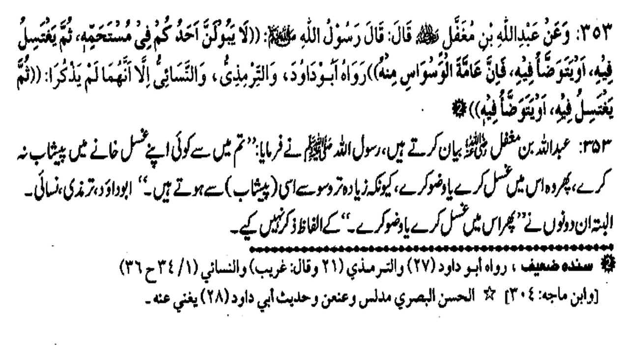 KAHA PESHAB KARNE SE WASWASE HOTE HAIN ? (353)