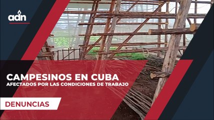 Campesinos en Cuba afectados por las condiciones de trabajo