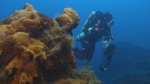 Méditerranée : la face immergée des volcans