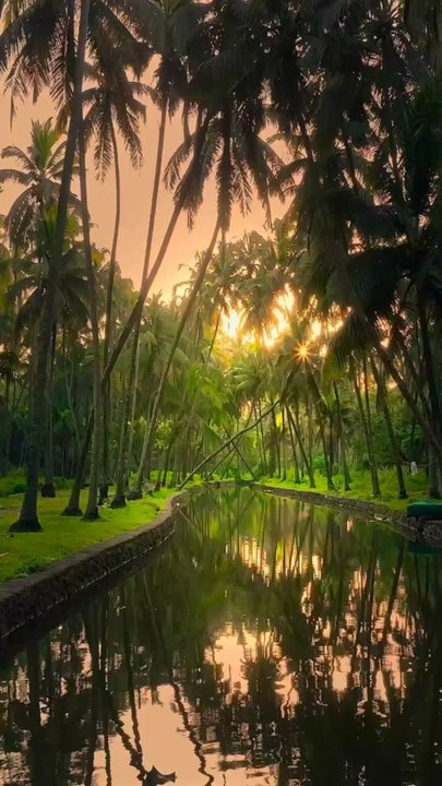 SUBLIME balade à Kerala en Inde [@bobbyjoshii]