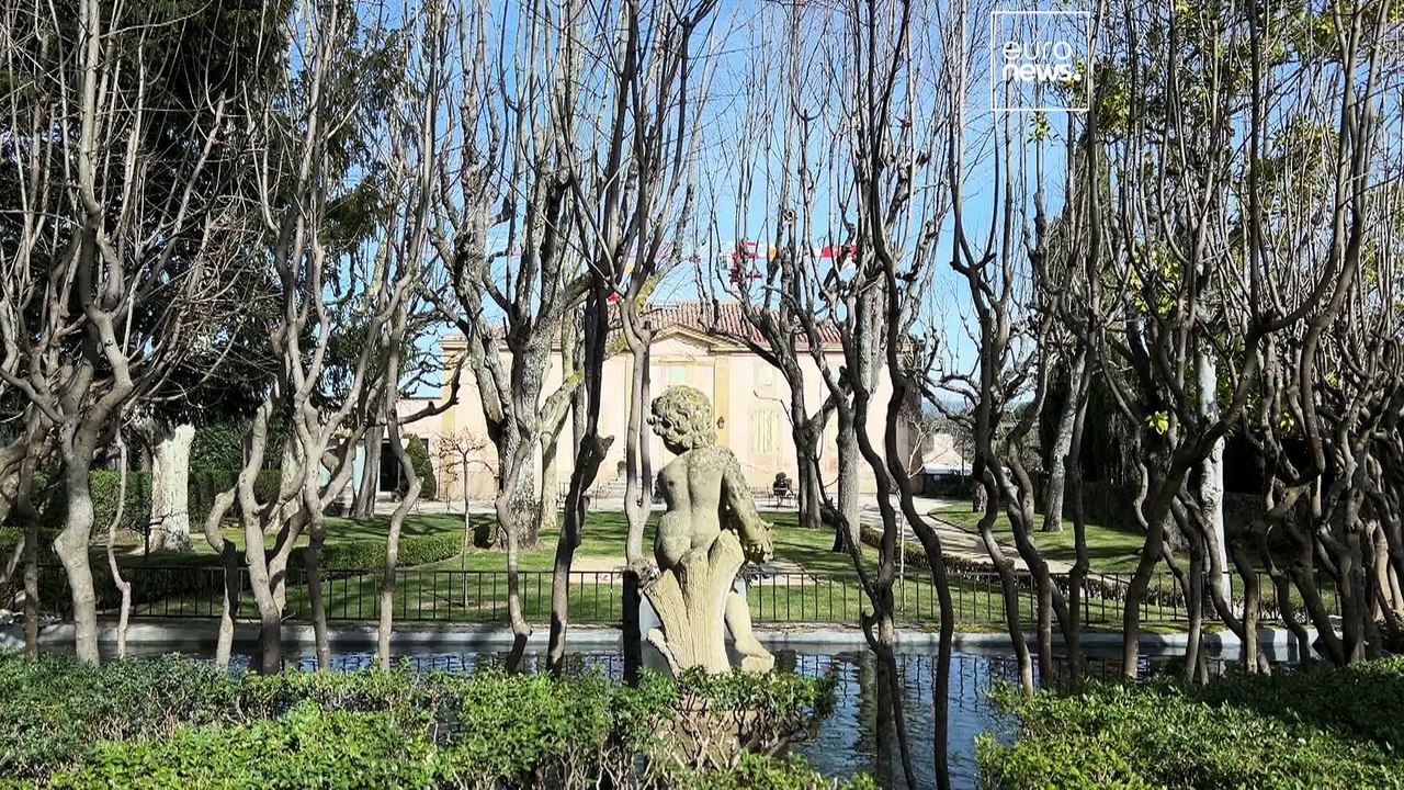 Riesige damien hirst-ausstellung in den weinbergen der provence