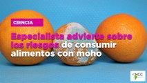 Especialista advierte sobre los riesgos de consumir alimentos con moho