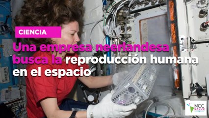 Una empresa neerlandesa busca la reproducción humana en el espacio