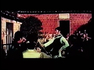 La Geisha dalle mani d'acciaio 1974