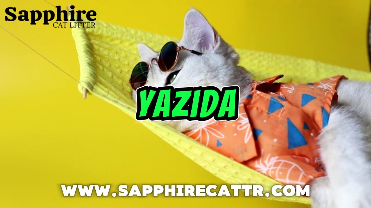 KEDİLERDE PARAZİT HASTALIĞI | NASIL TEDAVİ EDİLİR | KEDİLERDE PARAZİT NEDEN OLUR