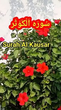 Surah Al Kauser | Surat ul Kouser | learn quran | Tilawat quran pak beautiful voice