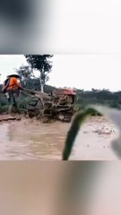 Petani membajak sawah sendiri