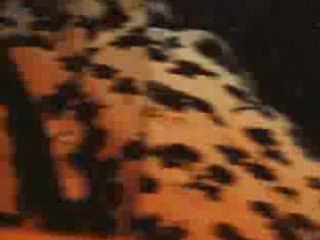 Behind your walls, (frans zwartjes),