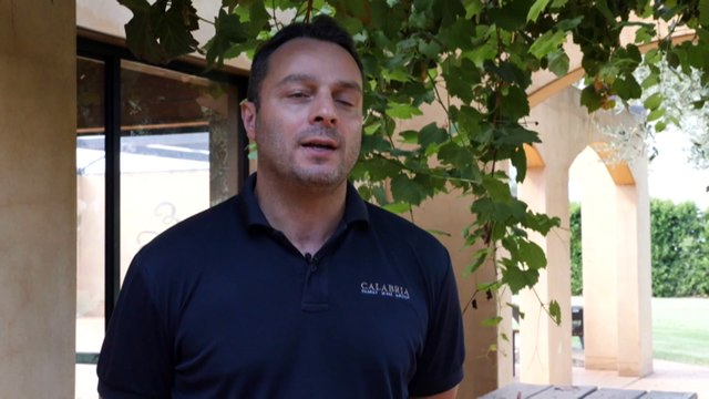 Grape growers pushed to abandon the wine industry despite lift of Chinese tariffs