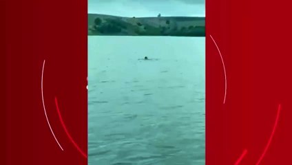 PM usa pedalinho para prender foragido que pulou em lagoa para escapar da polícia no ES