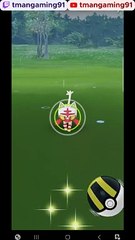 Pokémon GO-Shiny Litten