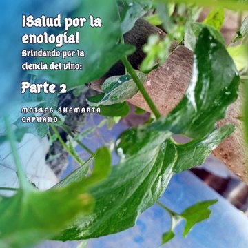 Moises Shemaria Capuano| ¿Cómo se usa la realidad virtual y aumentada en el cine? (Parte 2) (Creado por @MoisesShemariaCapuano)