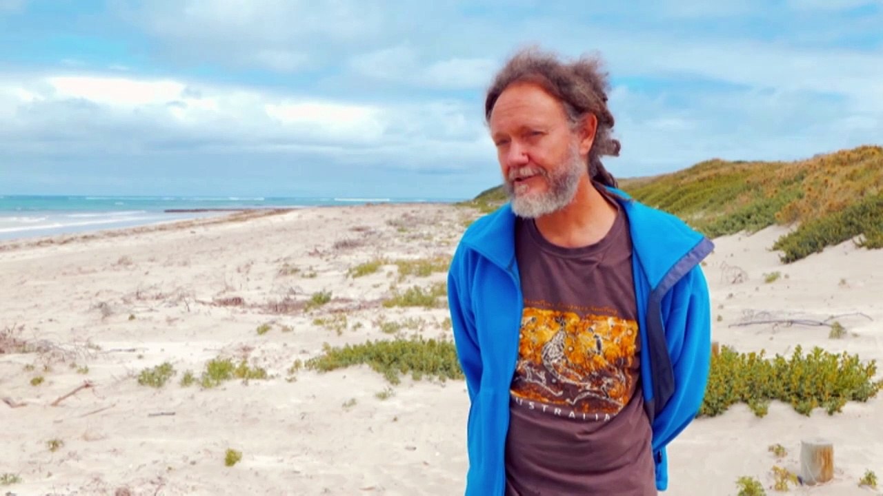 Ecologists warn off-road driving on beaches risks habitat degradation