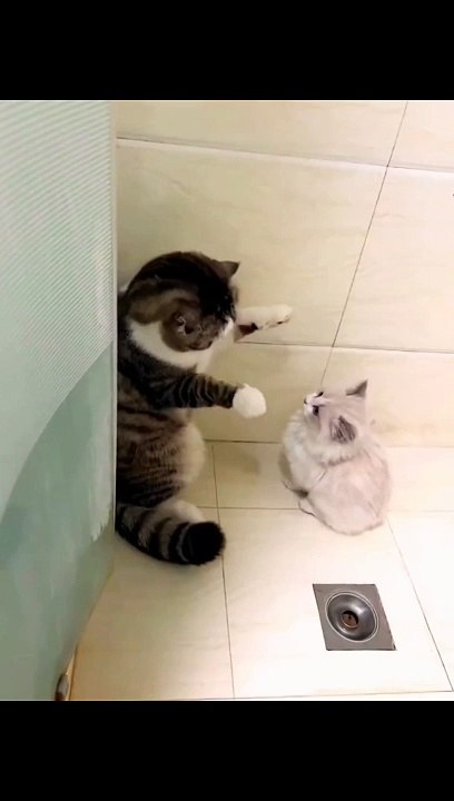 Nothing just need a hug