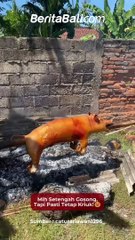 Mih Setengah Gosong Tapi Tetap Kriuk! Rasanya Juara 🥢