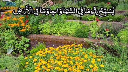 surah at taghabun with urdu translation by 786 cuisine