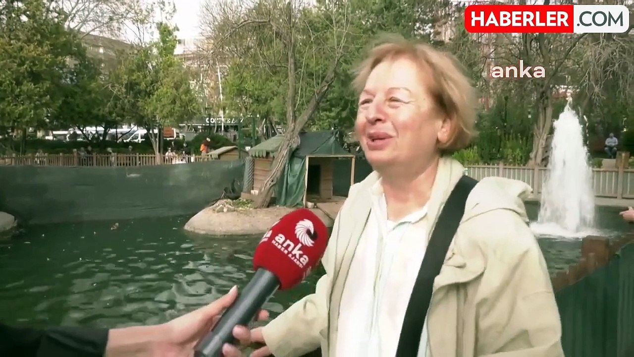 Ankara Kuğulu Park'ta Yavru Kuğulara Yoğun İlgi