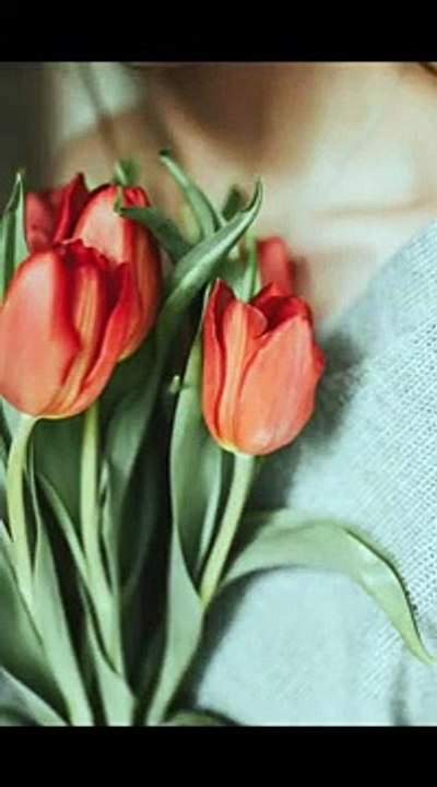 raza saqib mustafai best  bayan status _  whatsapp status_urdu short video #shorts