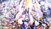 Uluslararası Sıfır Atık Günü: Daha az atık, daha temiz çevre