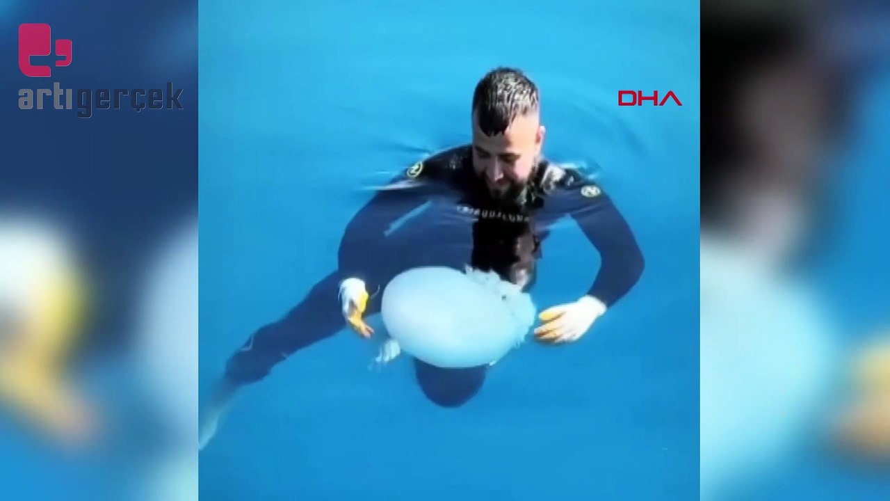 Denizanasıyla dans