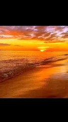 Xong cái bánh kem | Clips Hài Hước