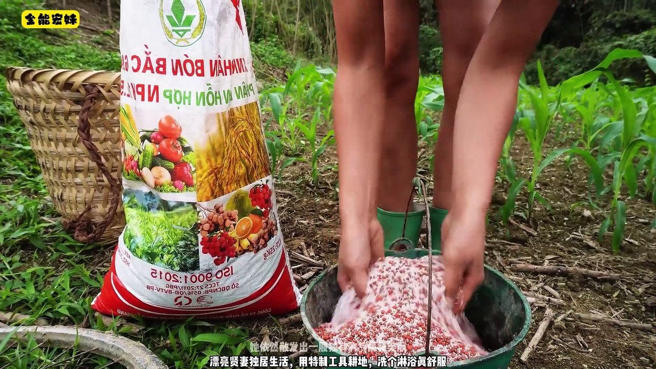 The beautiful wife lives alone, plowing the land with special tools