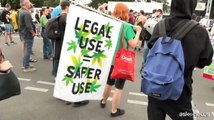 Germania, fa discutere la legalizzazione parziale della cannabis