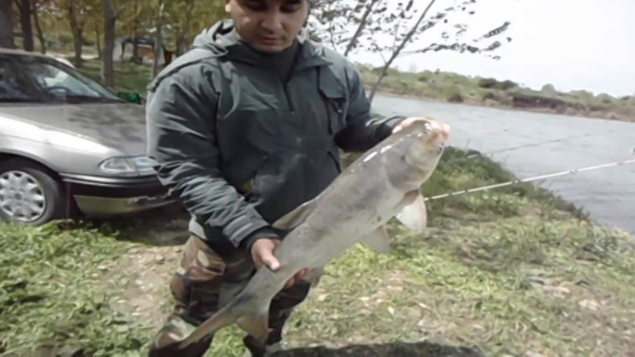 Fishing on the Lake 06