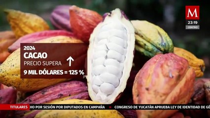 Precio del cacao 'se dispara' 125% en menos de tres meses