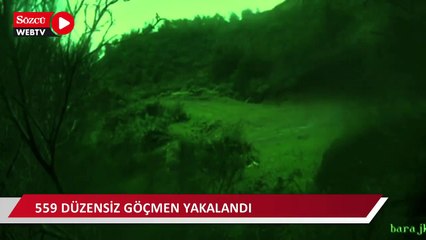 559 düzensiz göçmen yakalandı