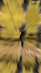 Start Your Weekend with Positive Vibes ✨