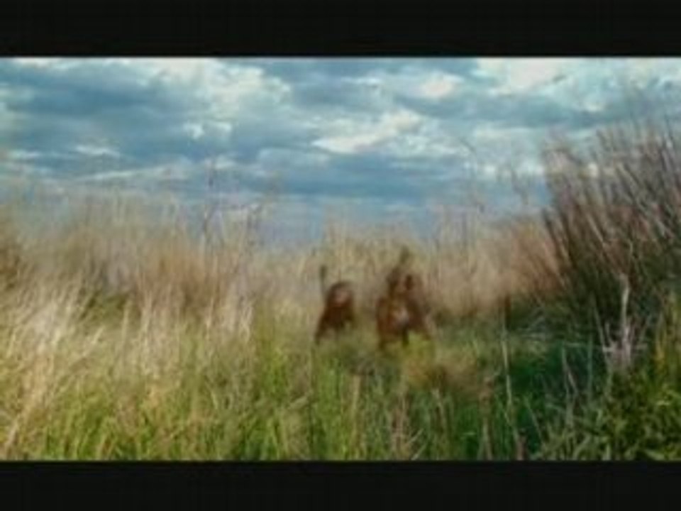 Les animaux du futur
