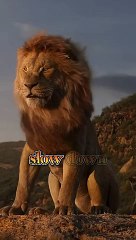 Learn Easy English with Inzi Shah – Boost Your Language Skills! 📚