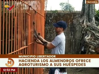 Hacienda Los Almendros: Un oasis de paz en el estado Táchira