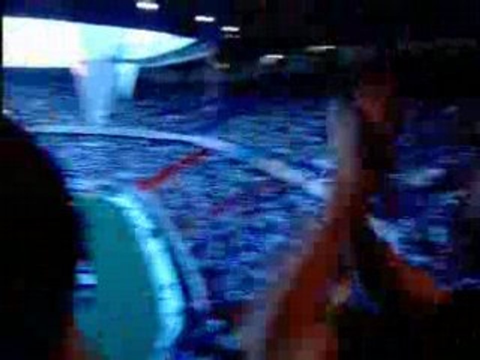 3) 2007. PSG-Nantes ds l'cul barthez