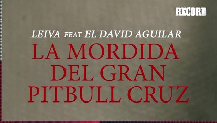 LEIVA escribe canción a PITBULL CRUZ