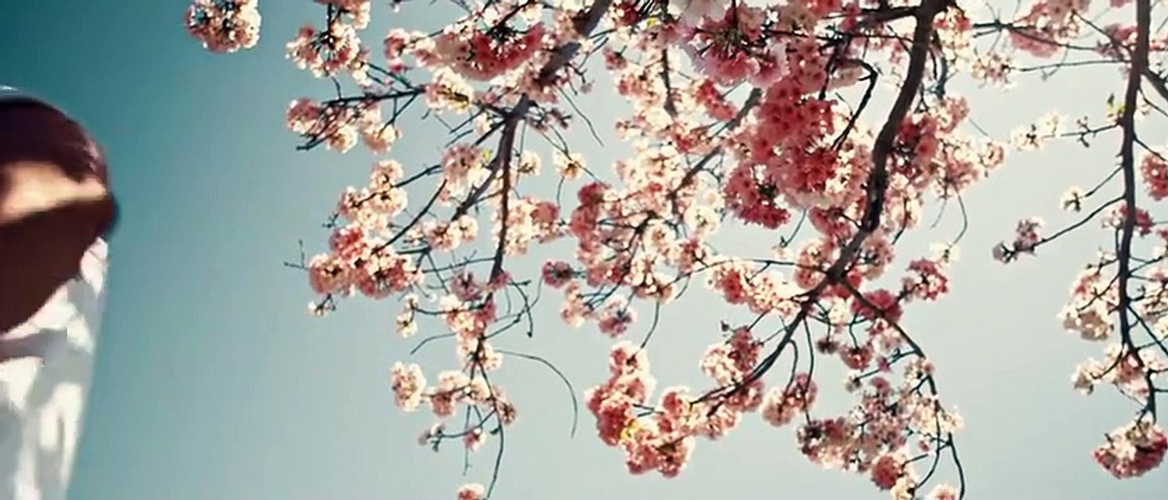 In Full Bloom Streaming VF - FanStream