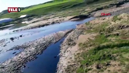 Diyarbakır’da büyük ihmal! Sızan petrol çaya aktı