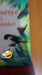 #music #soul #love #song #live #viral #funny #comedy #cute #drôle