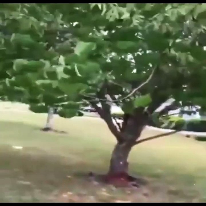 Woman catches her husband cheating, so he runs home and acts like he was there the whole time