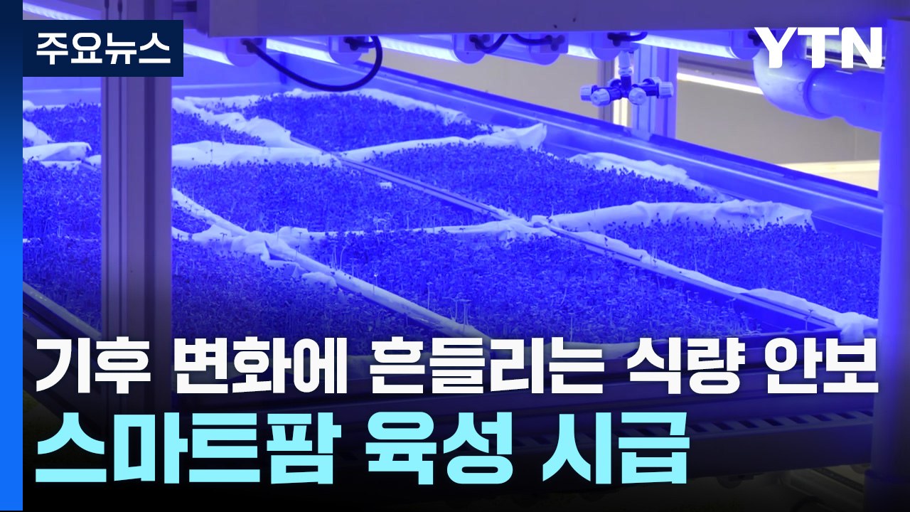 기후 변화에 흔들리는 식량 안보...스마트팜 육성 시급 / YTN