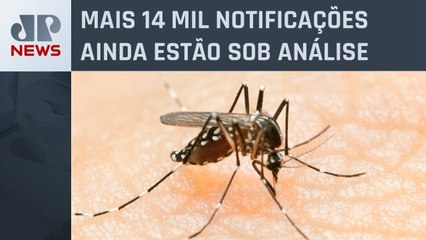 Cidade de São Paulo chega à marca de 100 mil casos de dengue