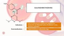 What is sulfadimethoxine?