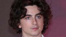 We Can't Stop Staring At Timothée Chalamet's Transformation
