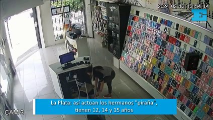La Plata: los "hermanos piraña", los chicos de 12, 14 y 15 años que acechan en comercios del centro